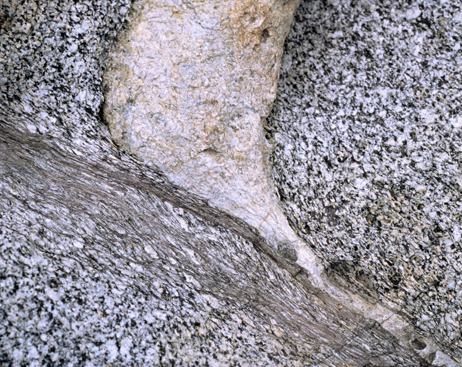 Zona de cisalla afectant la granodiorita de Roses i un filó